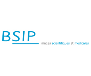 bsip